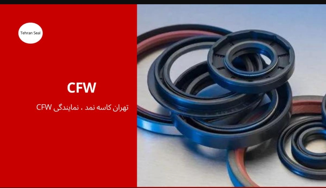 تخصص و تجربه